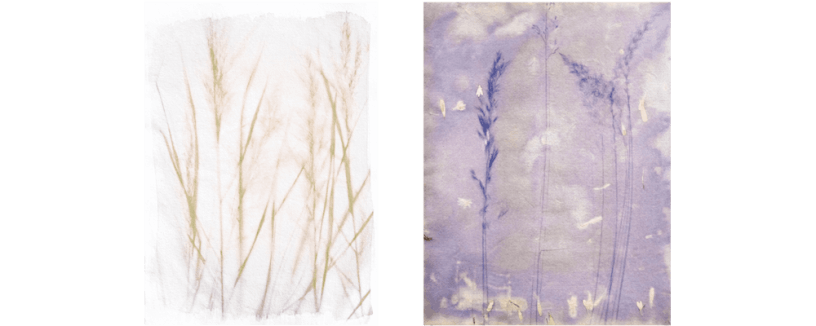 Judith IJland