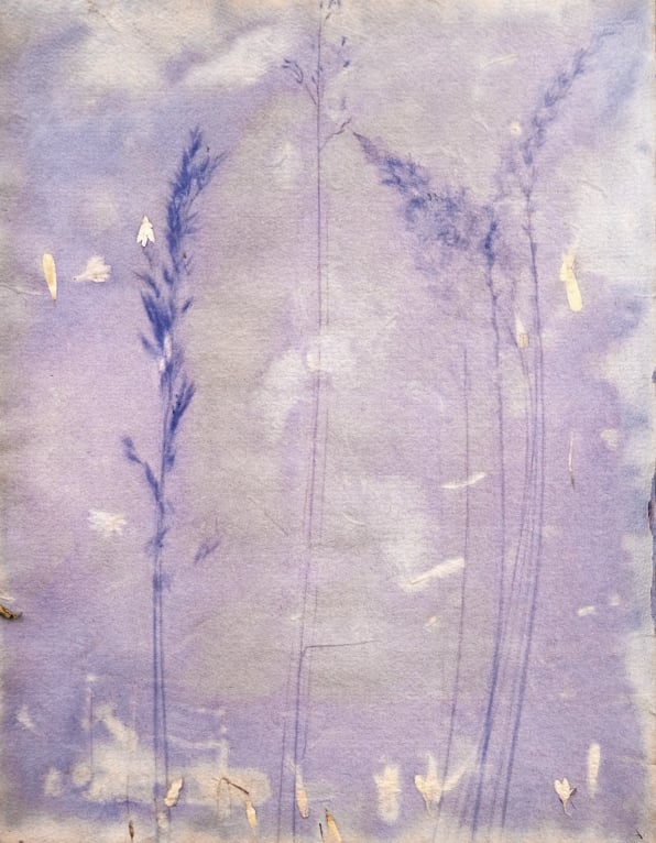 Judith IJland